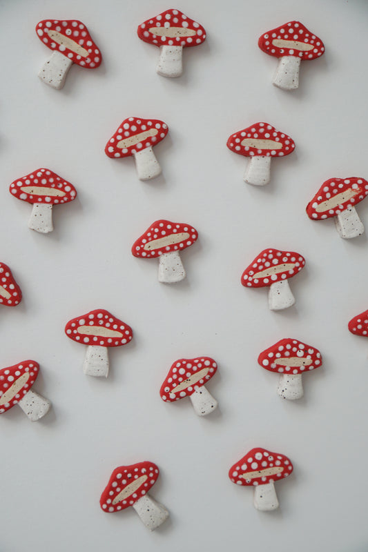 Mini Mushroom Magnets