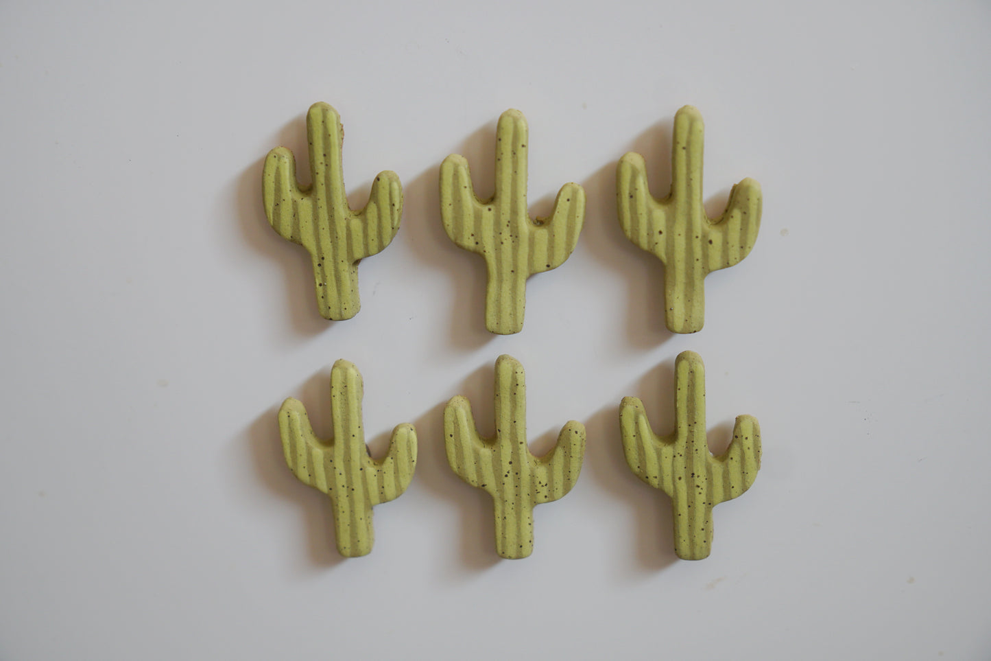 Saguaro Cactus Magnets