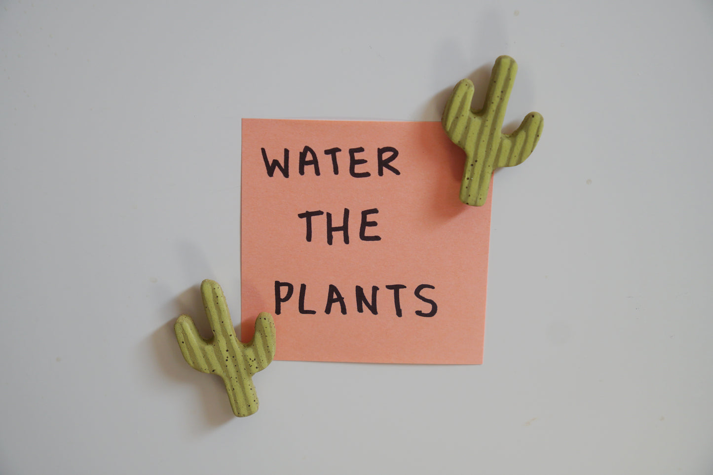 Saguaro Cactus Magnets