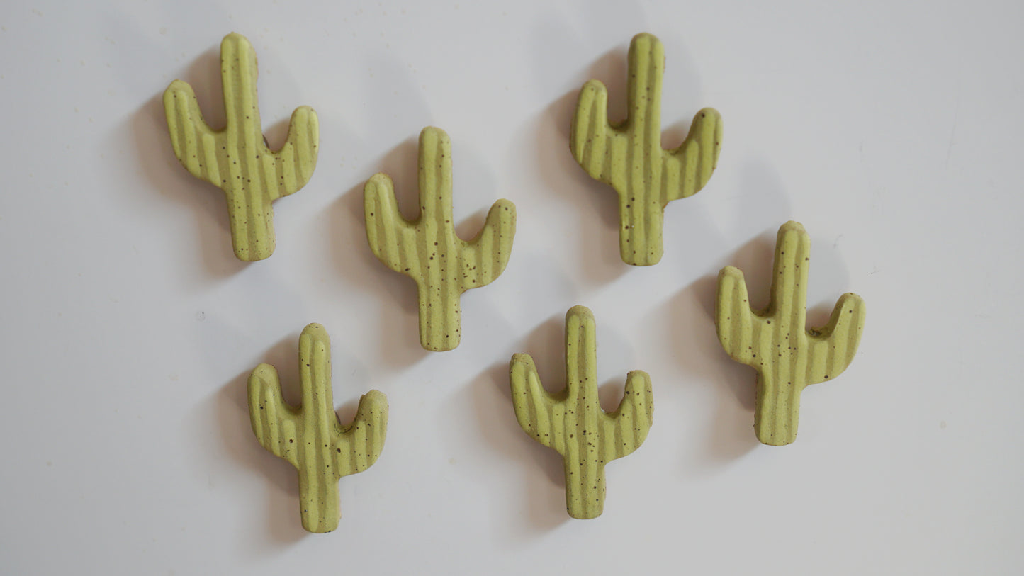 Saguaro Cactus Magnets