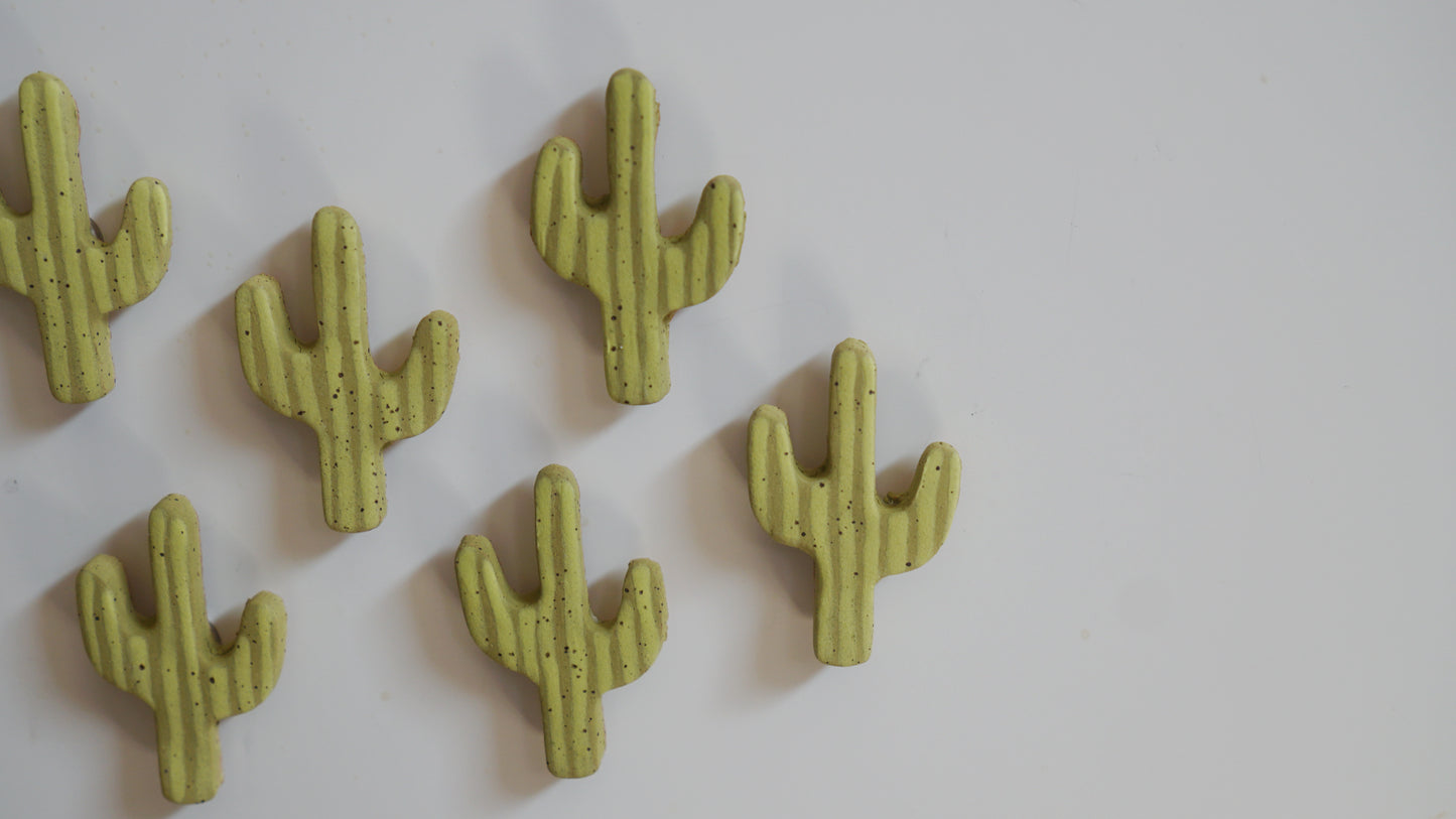 Saguaro Cactus Magnets