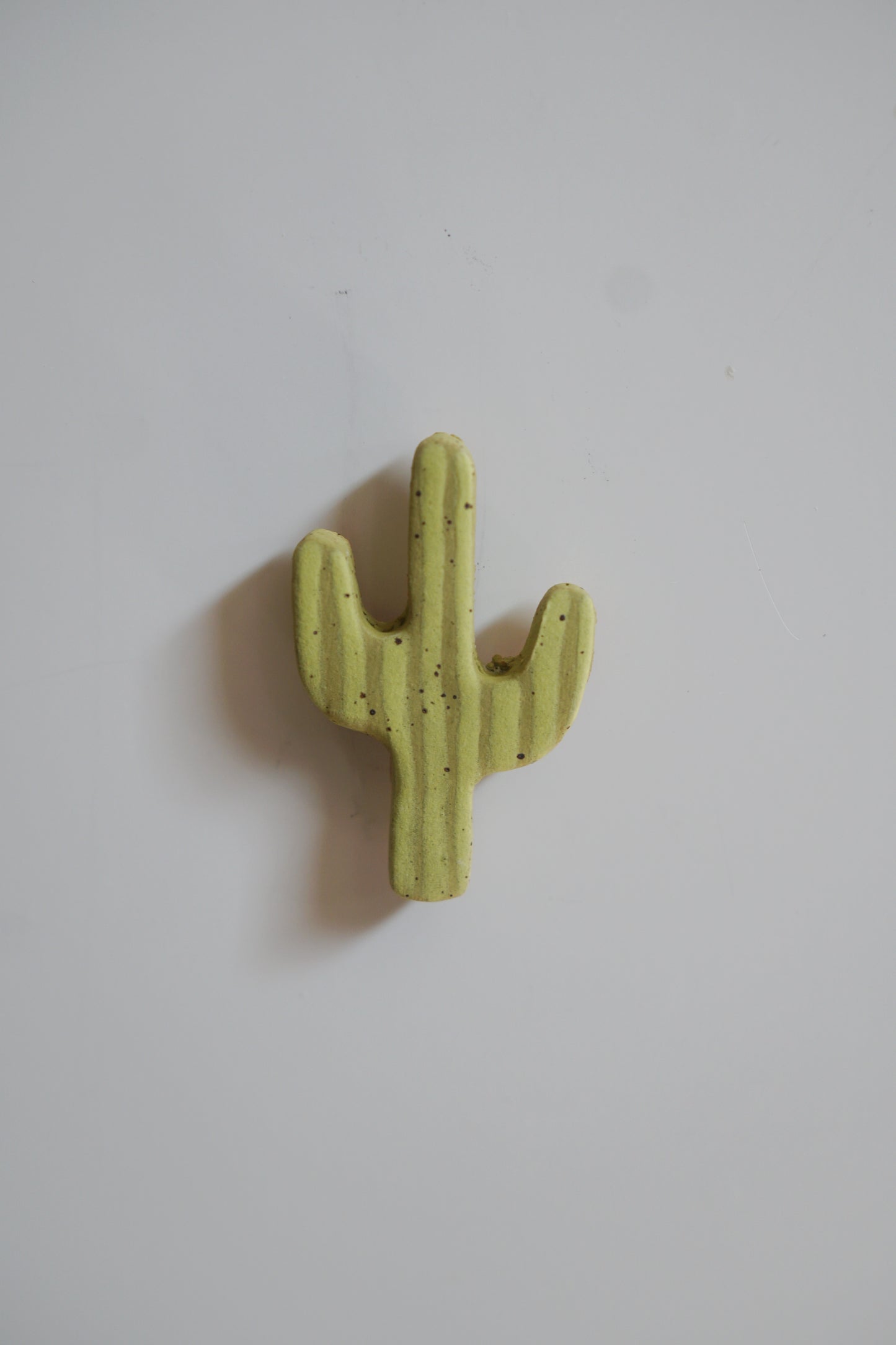 Saguaro Cactus Magnets