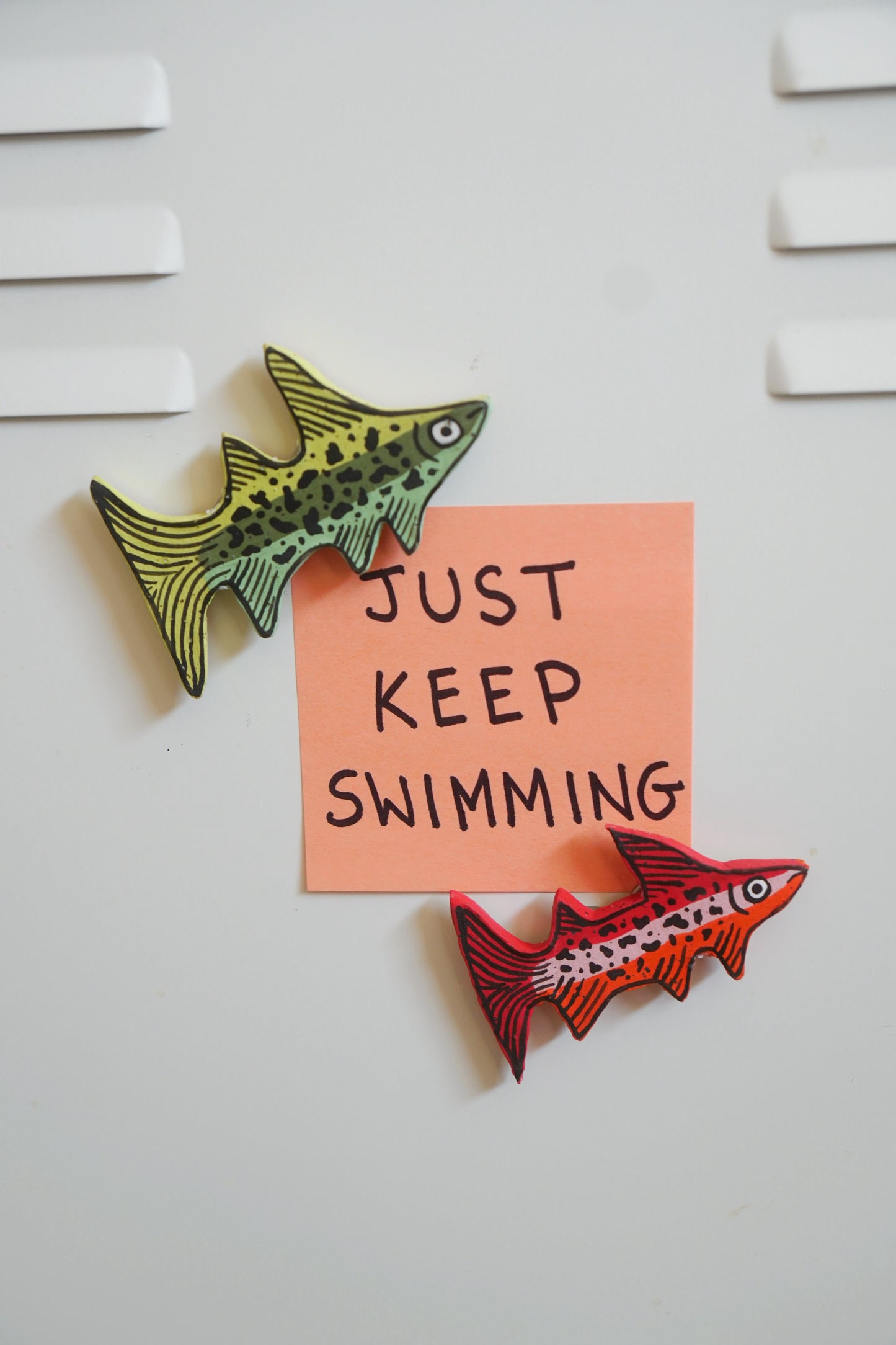 Funky Trout Fish Magnets