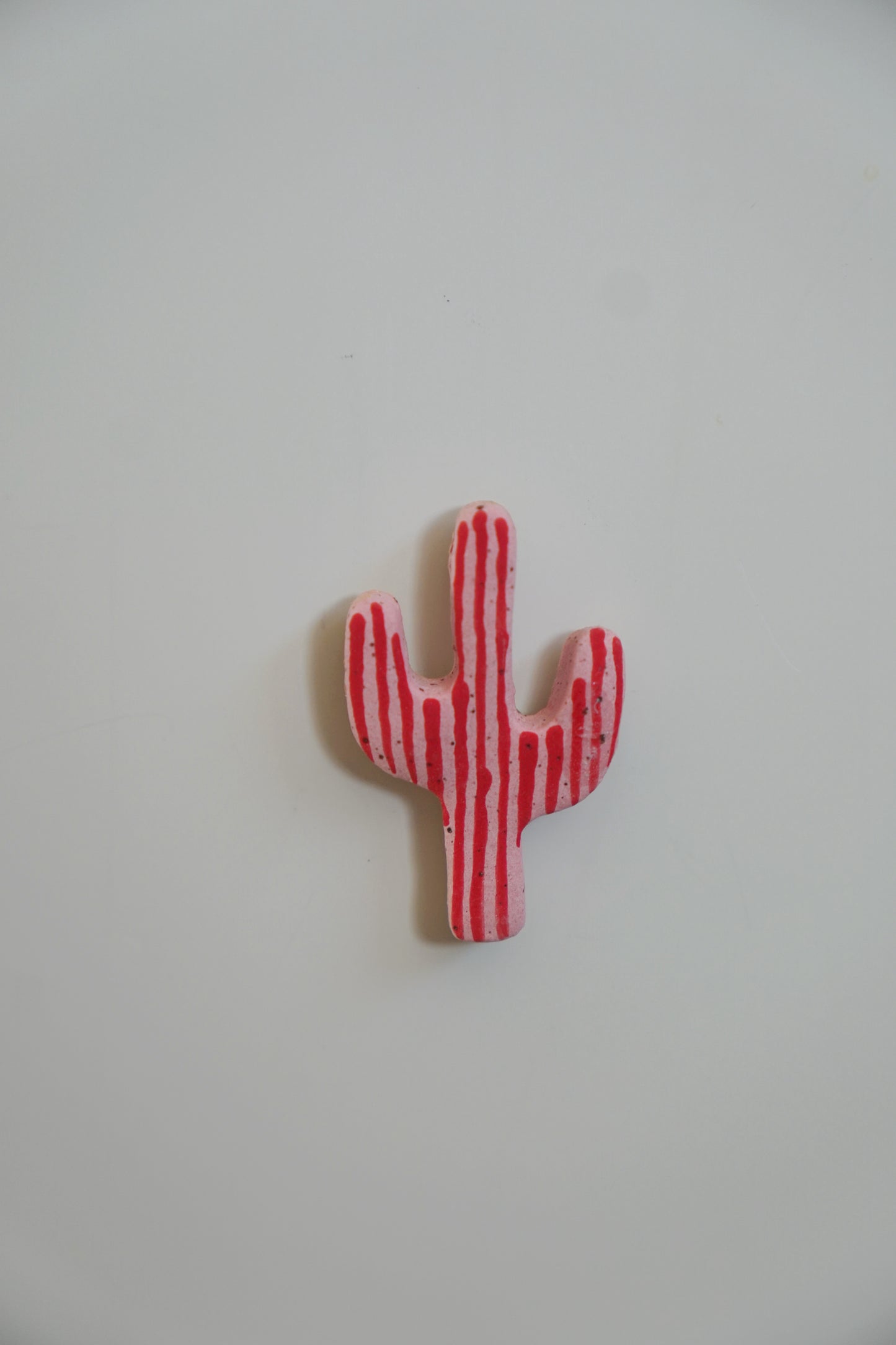 Pink Cherry Cactus Magnets