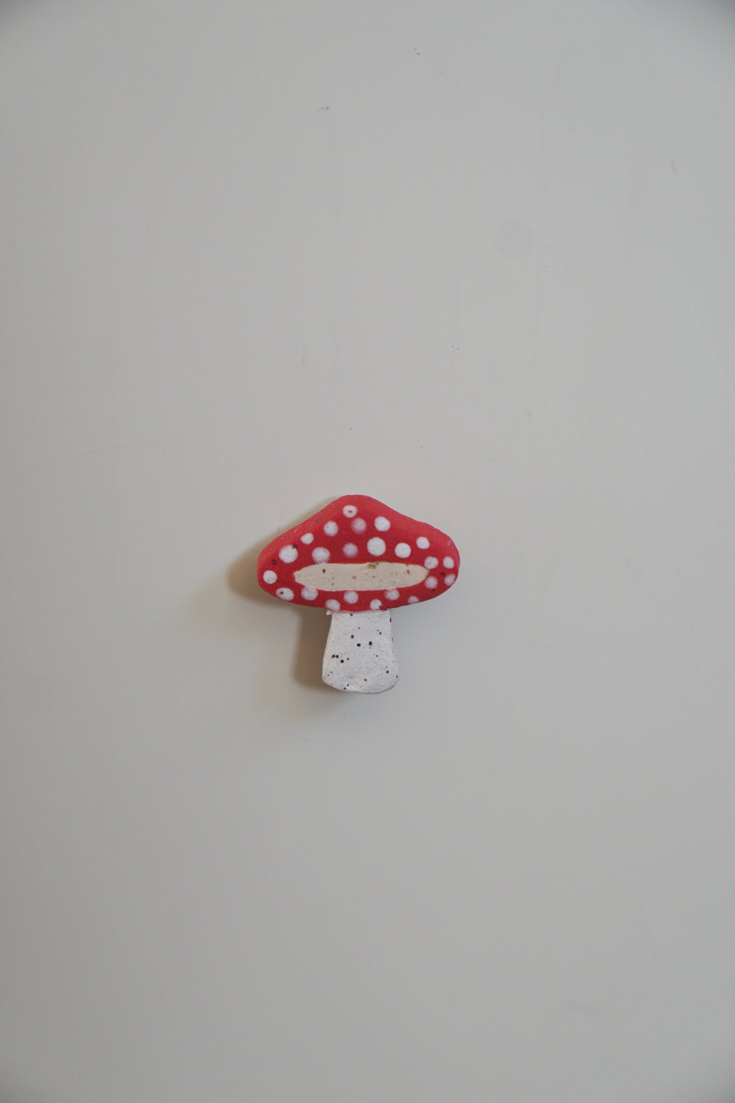 Mini Mushroom Magnets