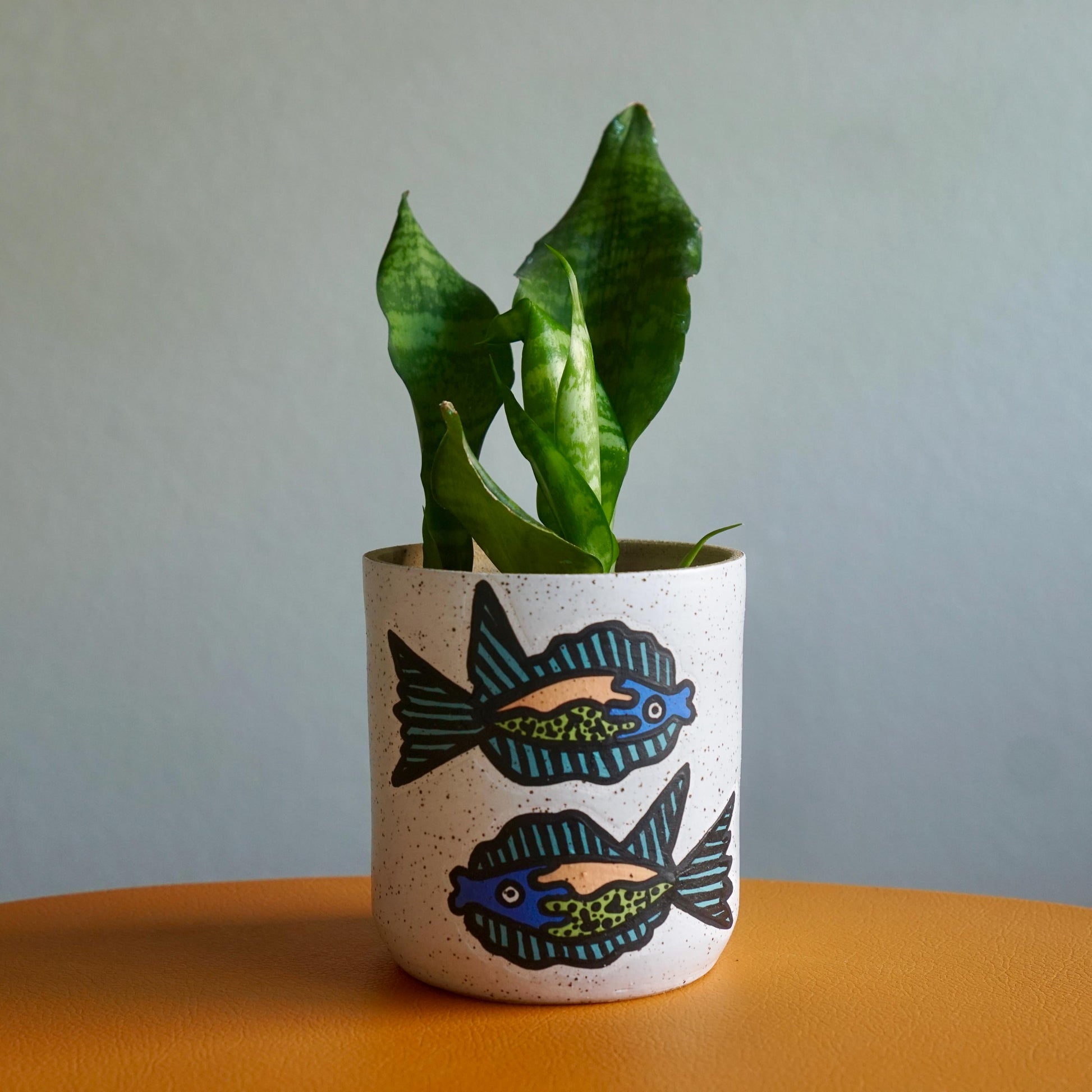 Plant in a pot with fish design on a wooden surface and gray background