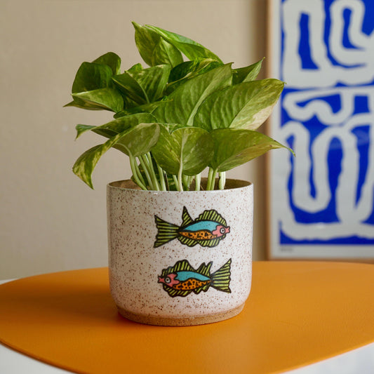 Potted plant in a ceramic pot with fish design on an orange surface