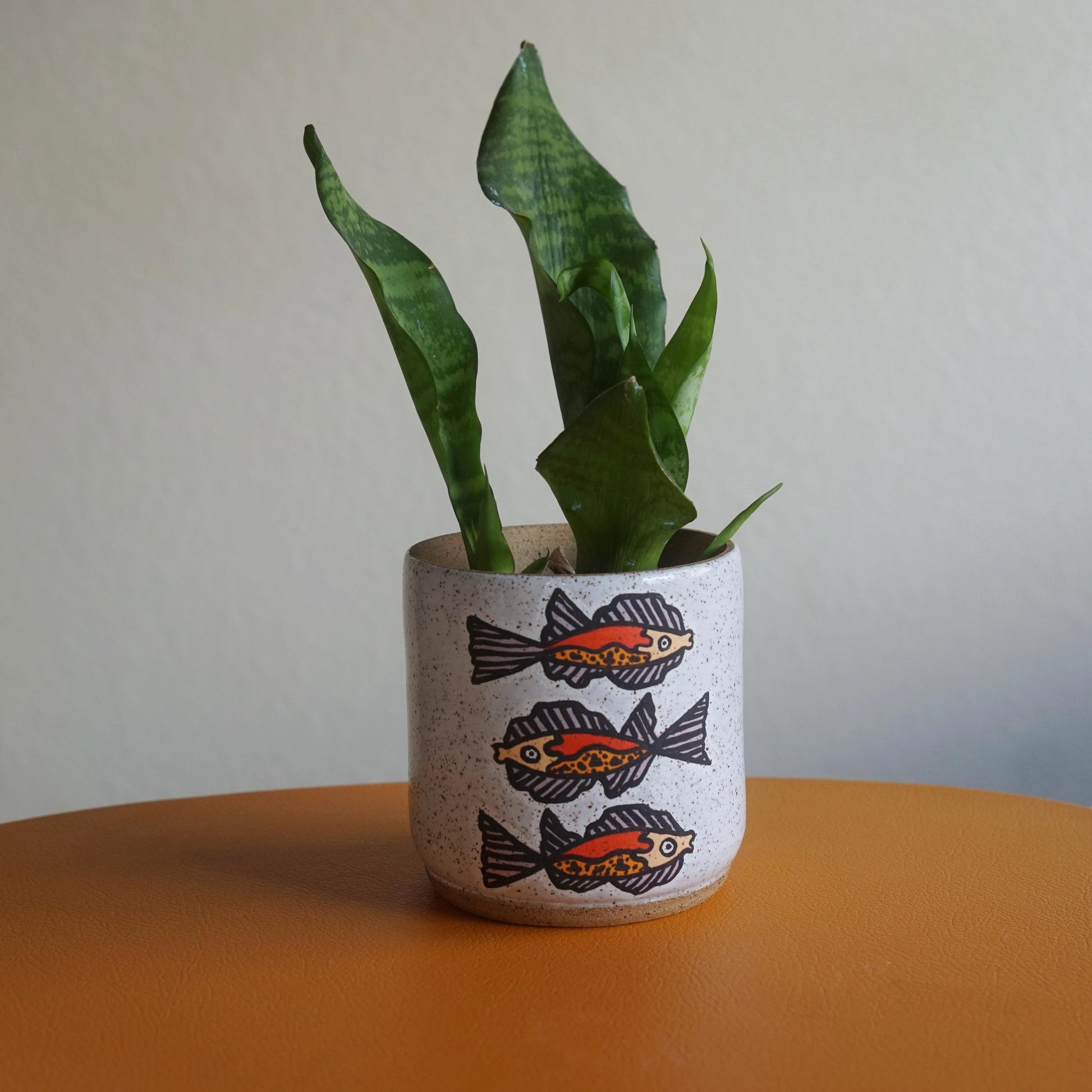 Potted plant in a decorative pot with fish design on an orange surface and light gray background