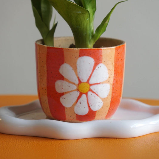 A small potted plant with green leaves sits in a speckled ceramic pot decorated with orange and peach vertical stripes and a large white flower motif with a yellow center. The pot is placed on a white wavy tray over an orange surface against a light gray background.