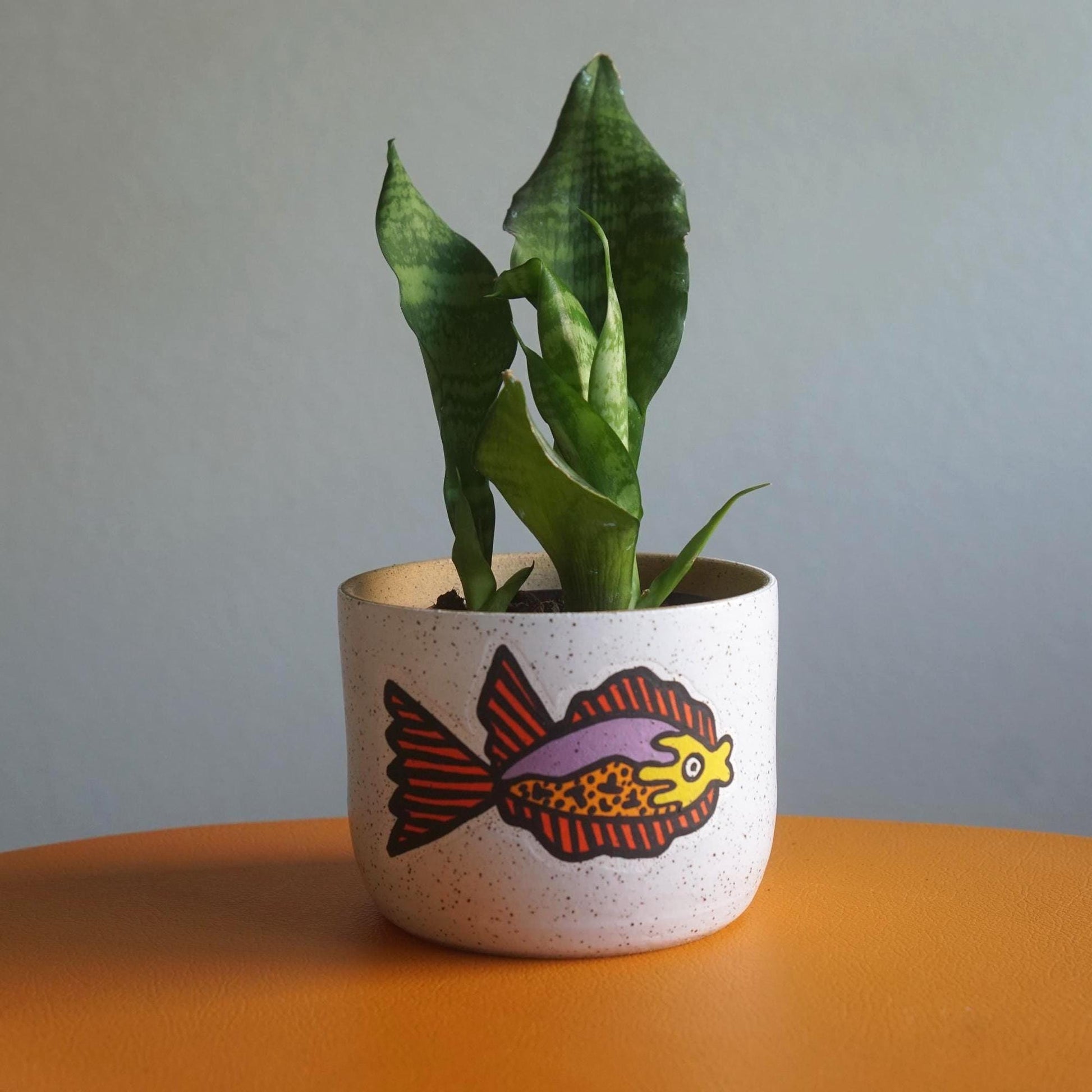 Potted plant in a white pot with a fish design on an orange surface and gray background