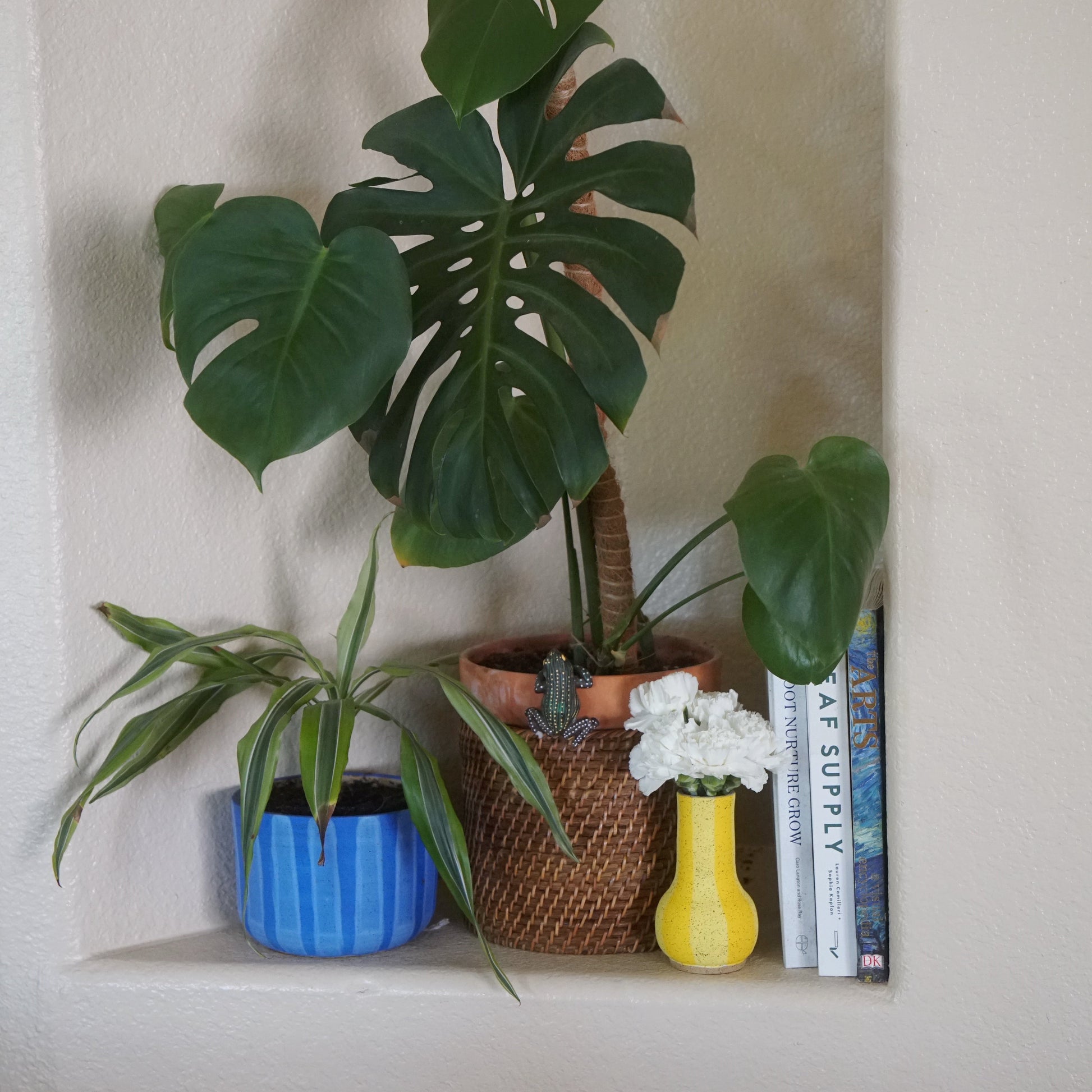 Potted plants and books on a shelf against a white wall