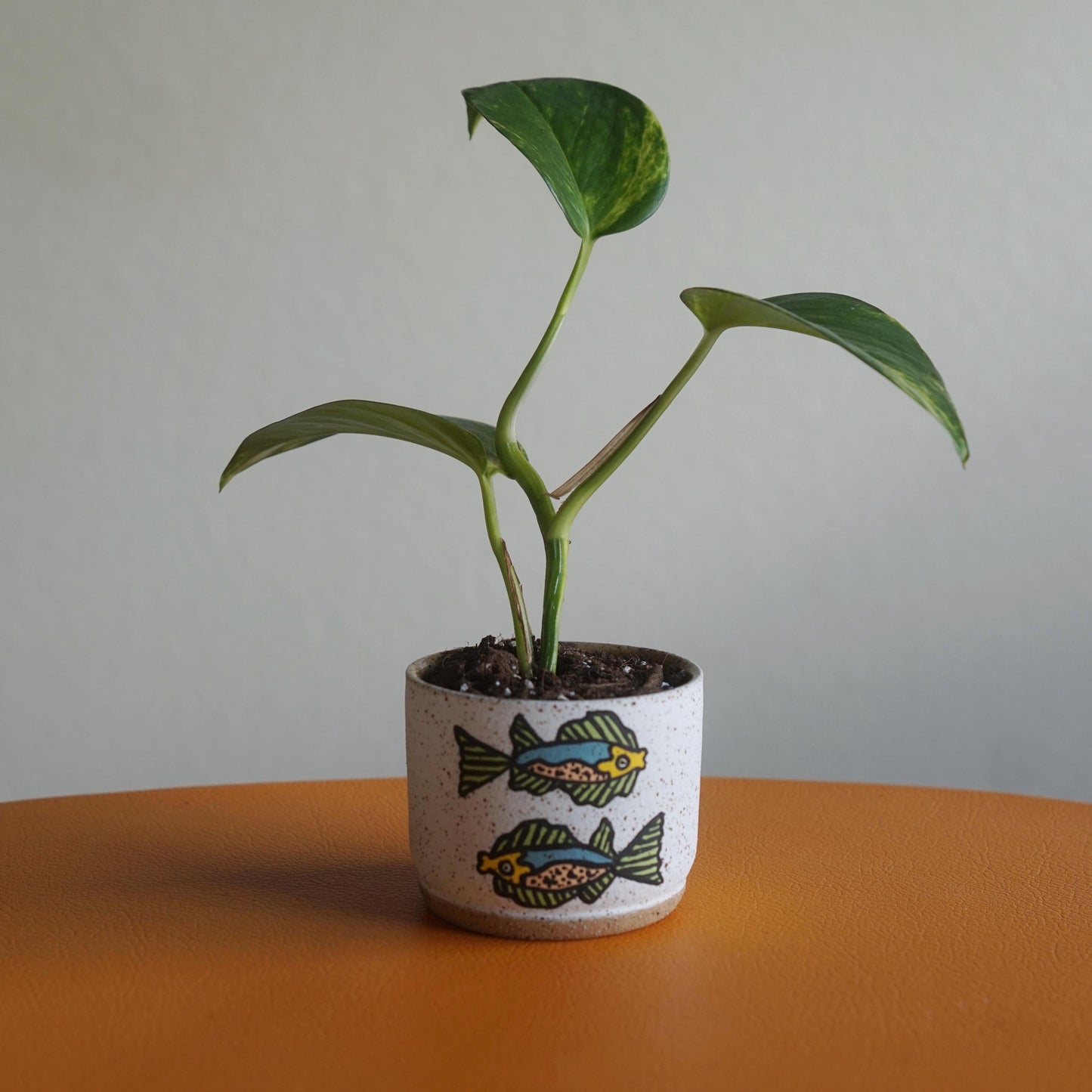 Green and Teal Reusable Ceramic Fish Candle